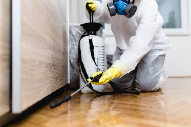 Best Mosquito Control Services  in Granite City, IL