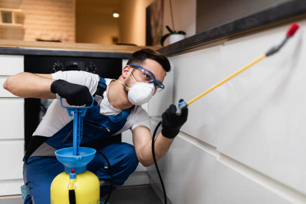 Best Pest Inspection Near Me  in Granite City, IL