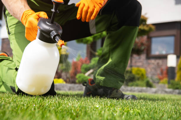 Best Bed Bug Extermination  in Granite City, IL