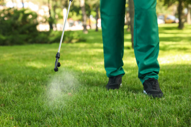 Best Commercial Pest Control Services  in Granite City, IL