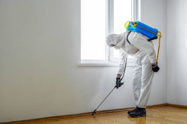 Best Best Pest Control Companies  in Granite City, IL