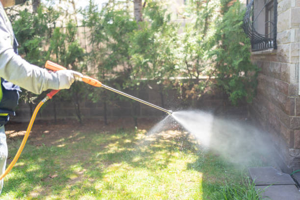 Best Pest Removal Services  in Granite City, IL