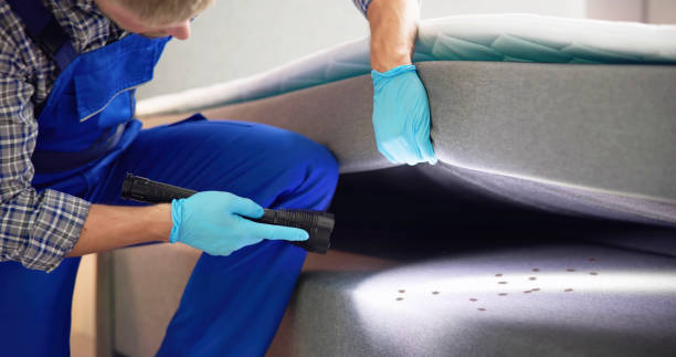 Best Ant Control Services  in Granite City, IL