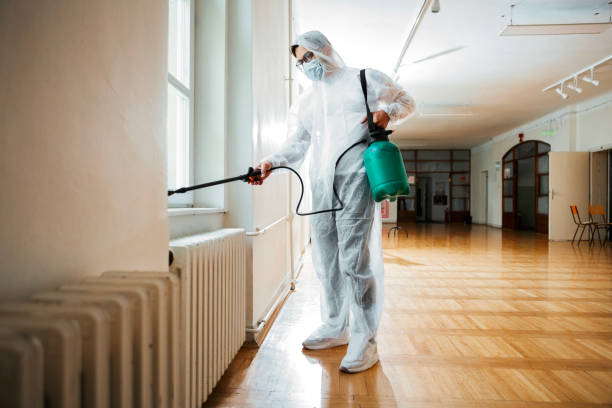 Best Flea Control Services  in Granite City, IL