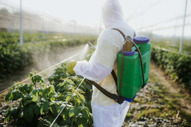 Best Pest Removal Services  in Granite City, IL